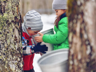 Tourisme Montérégie | Temps des sucres, enfants à l'extérieur observant une chaudière pleine de sirop d'érable