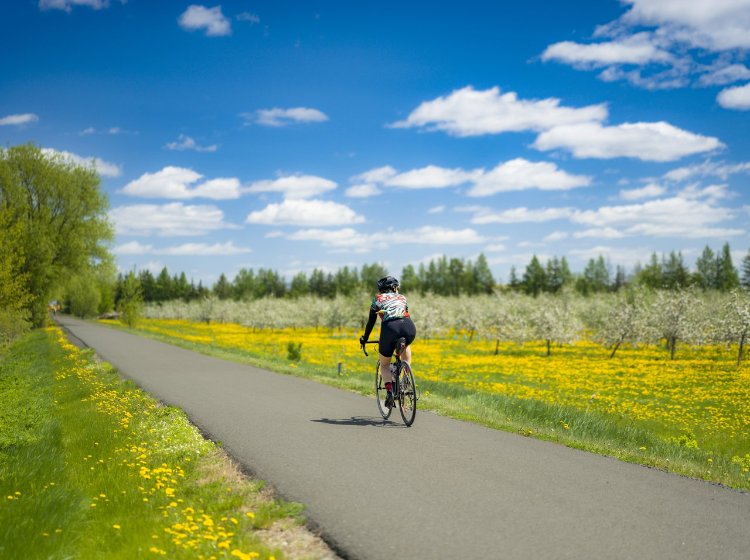 Piste cyclable La Route des Champs1
