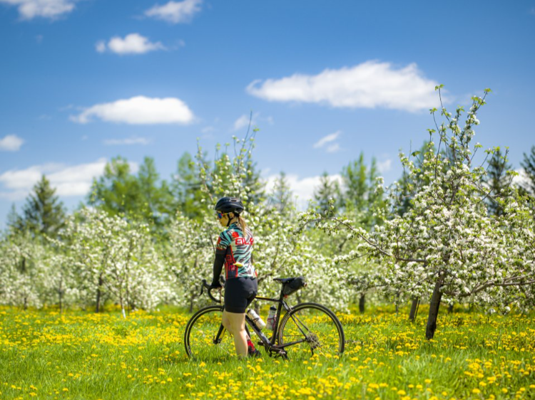 Piste cyclable La Route des Champs2