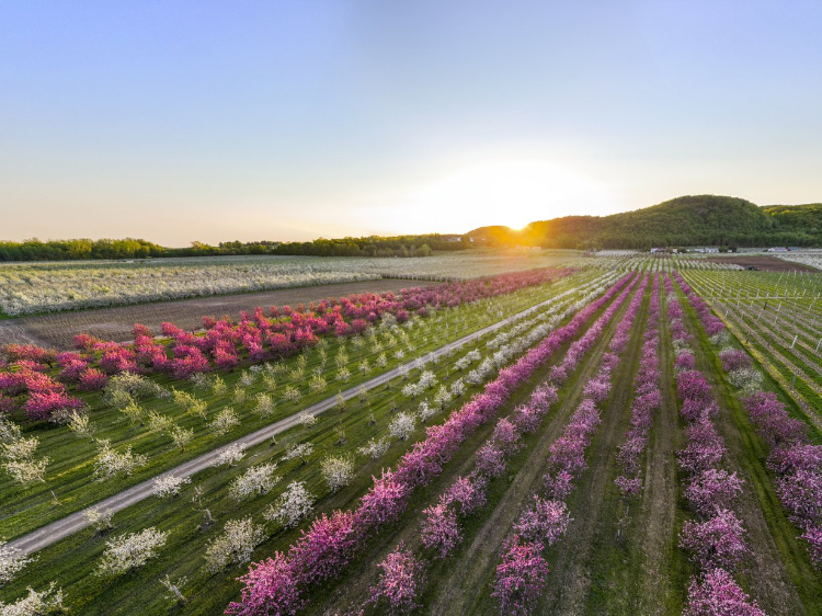 Piste cyclable La Route des Champs3