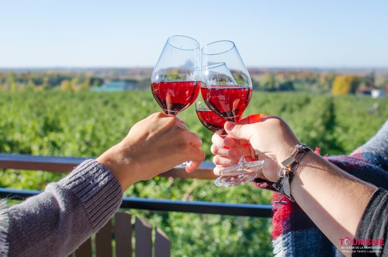 Domaine Cartier-Potelle