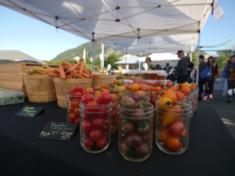 Marché public de Mont-Saint-Hilaire