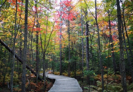 Parc régional des Grèves