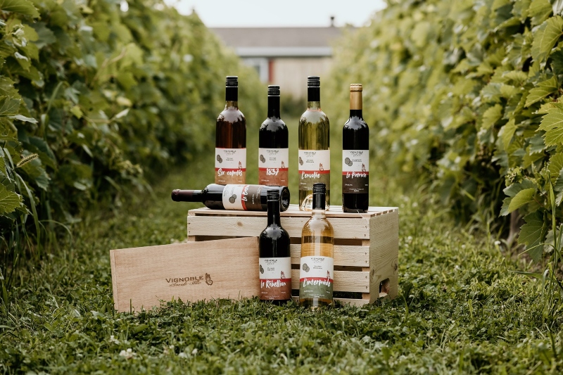 Vignoble La Grande Allée