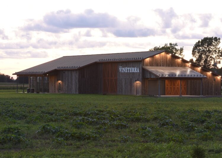 Domaine Vinéterra