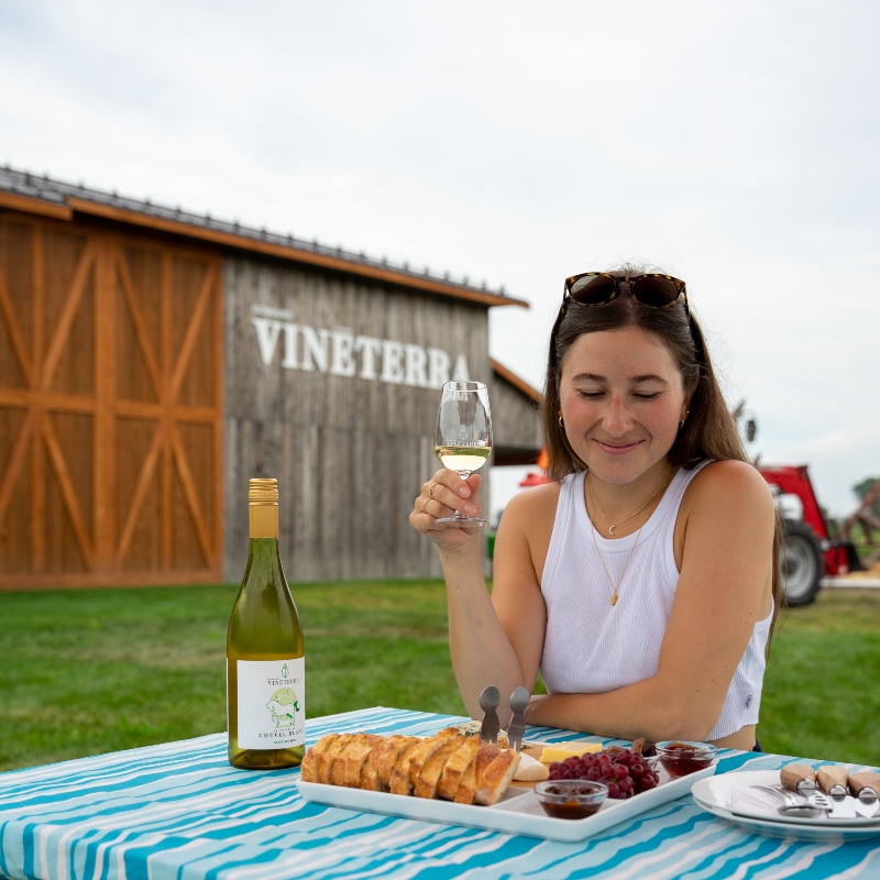 Domaine Vinēterra