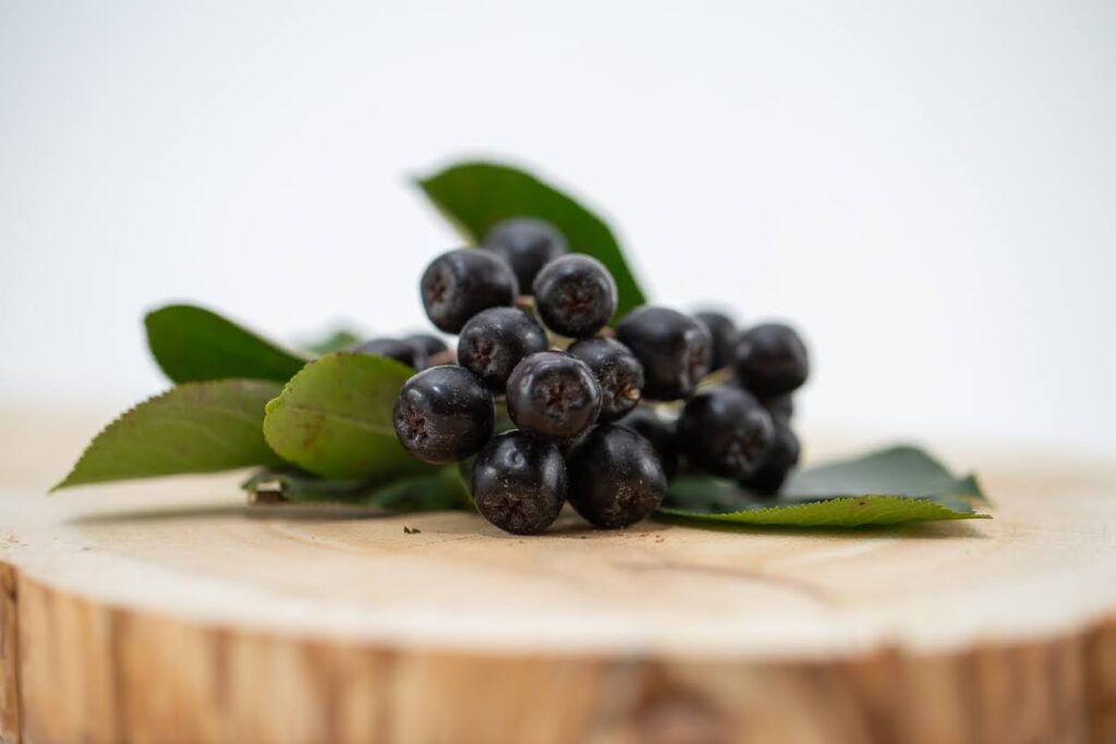 CAMPING DOMAINE DU RÊVE | Tourisme Montérégie