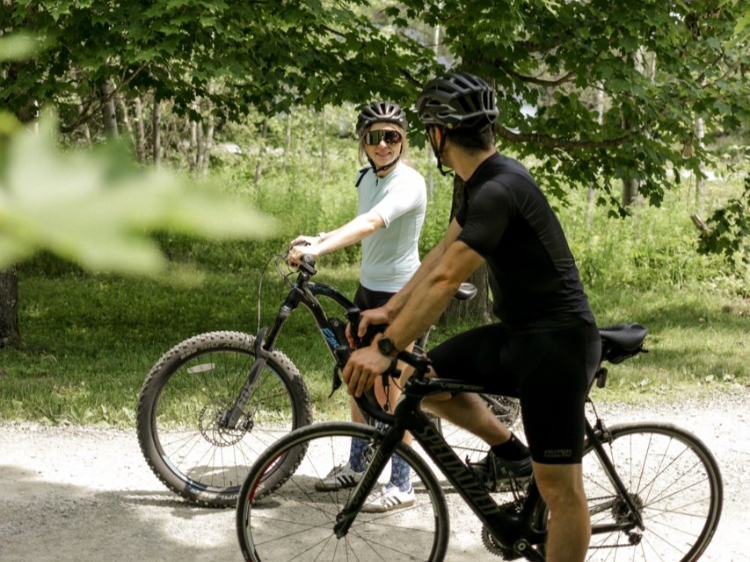 La-Campagnarde_Gite_Oies_2