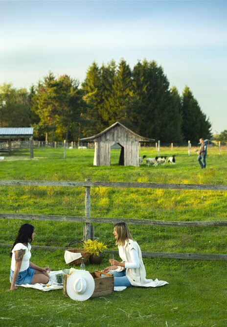 Welcome to Montérégie! | Tourisme Montérégie
