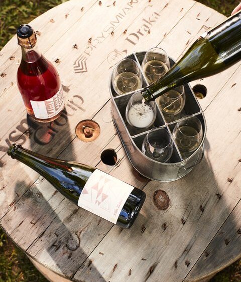 Domaine-Amalgames-480x697