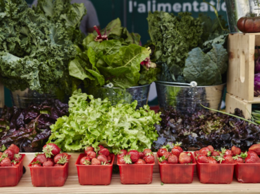 Le-Marché-Public-à-Solar-Uniquartier_570x562