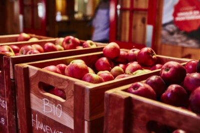 verger_Domaine-Labranche_750x562