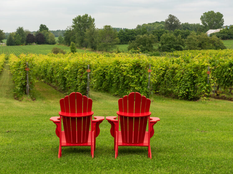 Vignoble_cortellino750x562