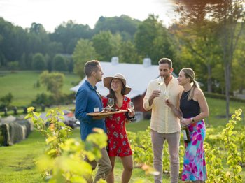 Visiter un vignoble