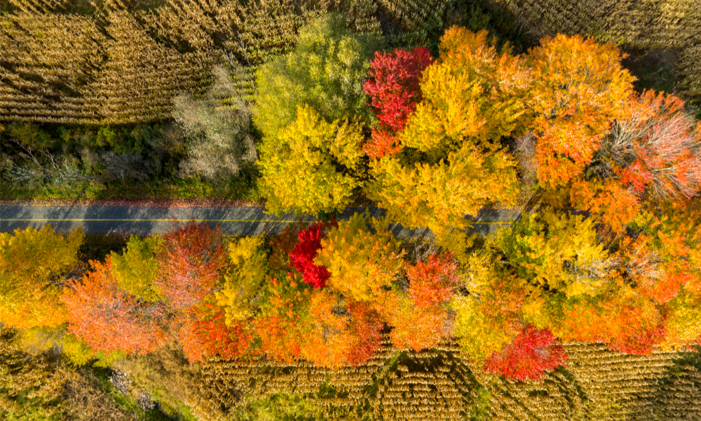 La Montérégie, une destination d&rsquo;affaires automnale