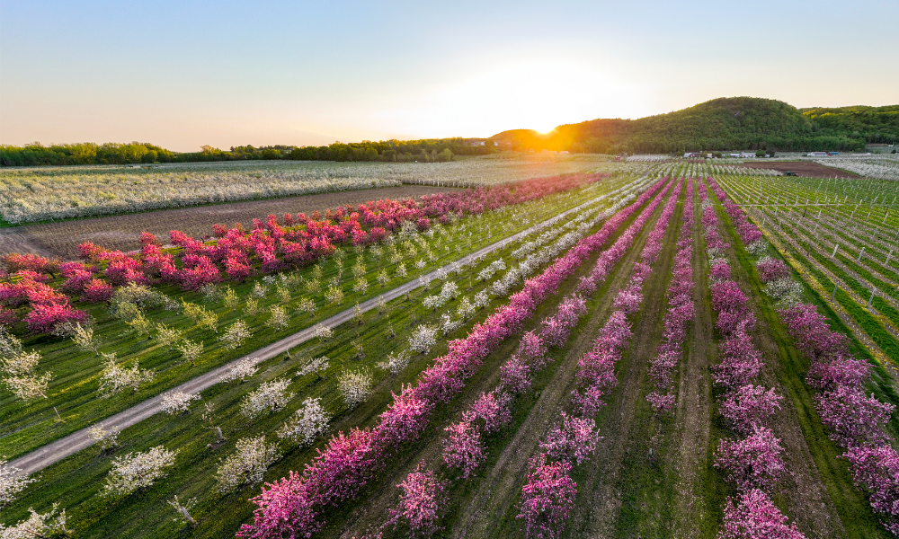 Montérégie: A Spring Business Destination
