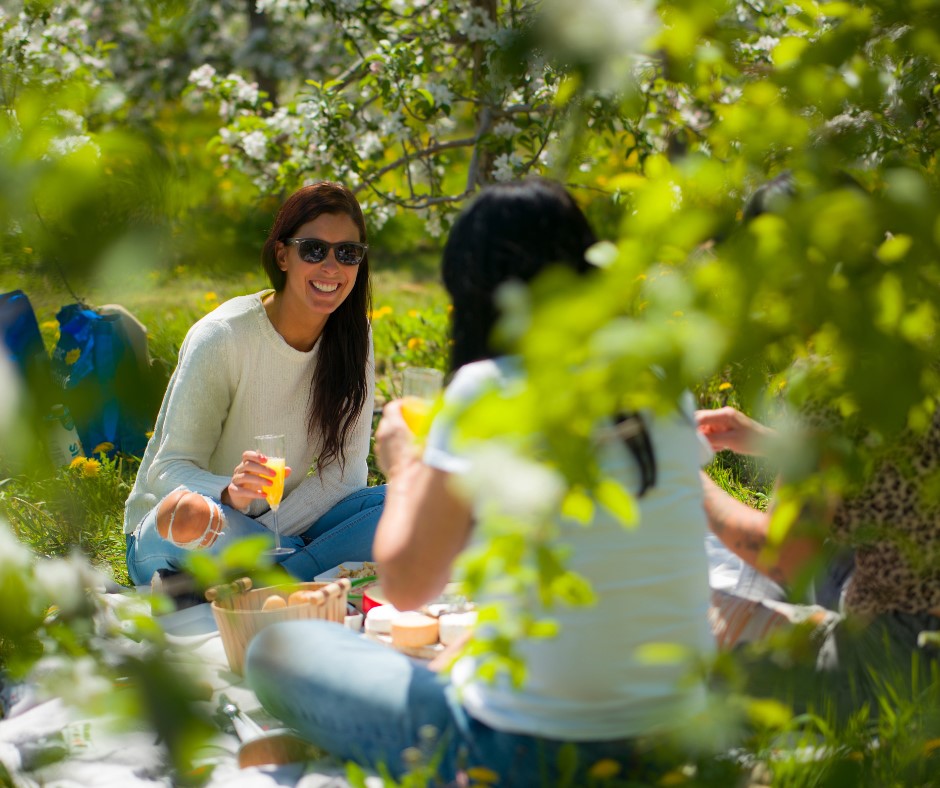 Quoi faire ce week-end en Montérégie ?