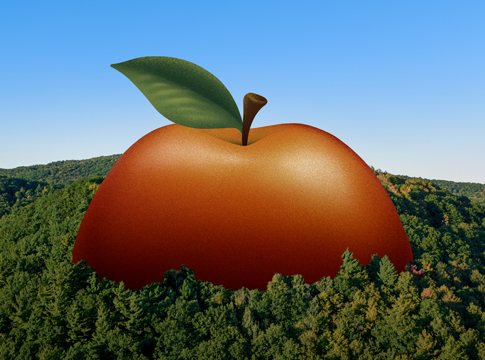 Gourmands de nature
