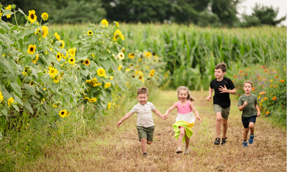 Sorties en famille : une excursion parfaite dans Vaudreuil-Soulanges