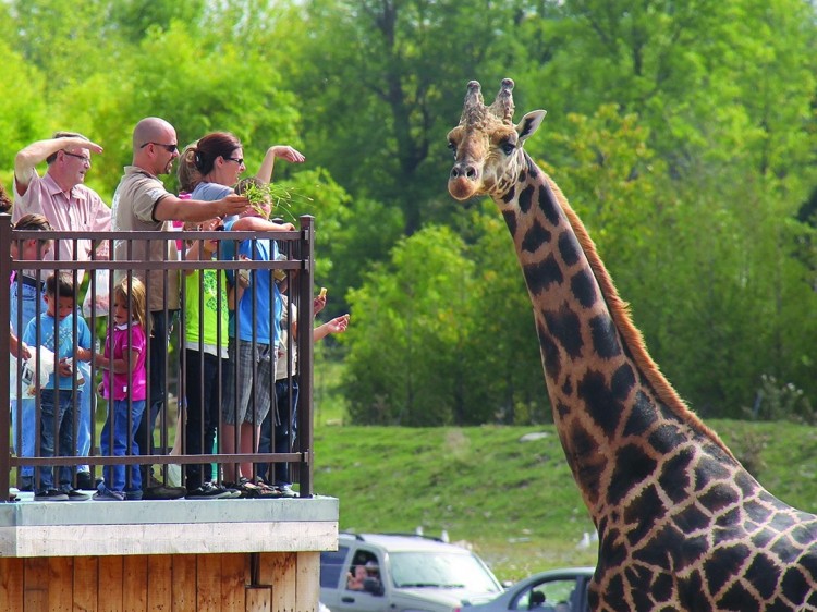 Parc Safari